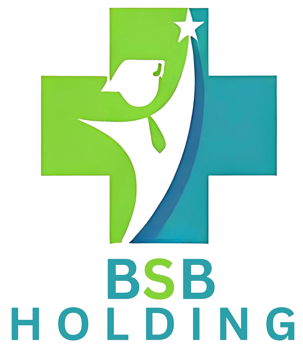 BSB Holding